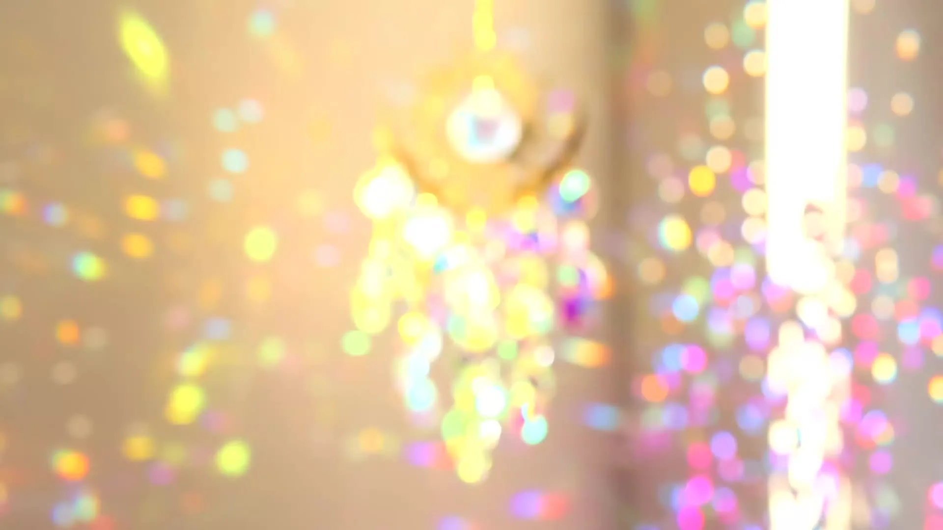 Accessoire de la mode,maison – Image 6