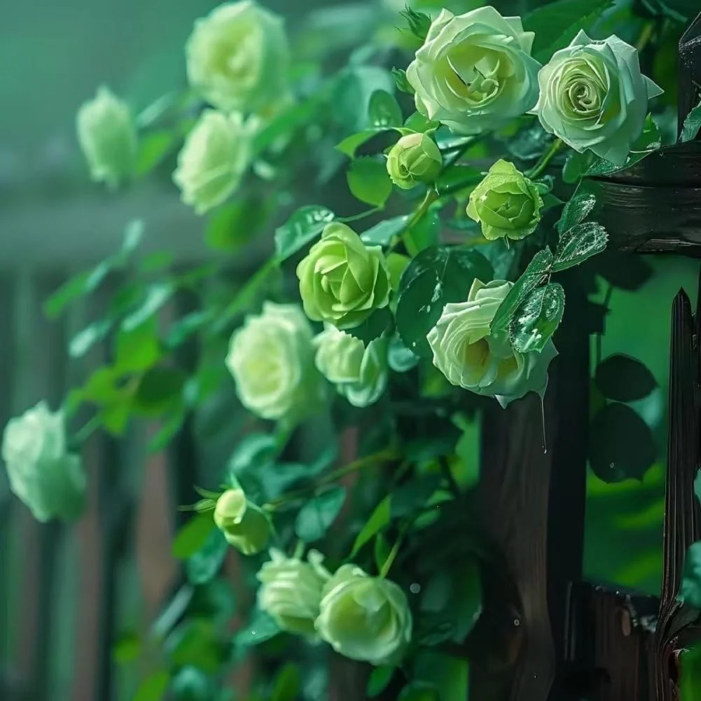 Lot de 1000 graines de rose grimpante de vigne – Image 6