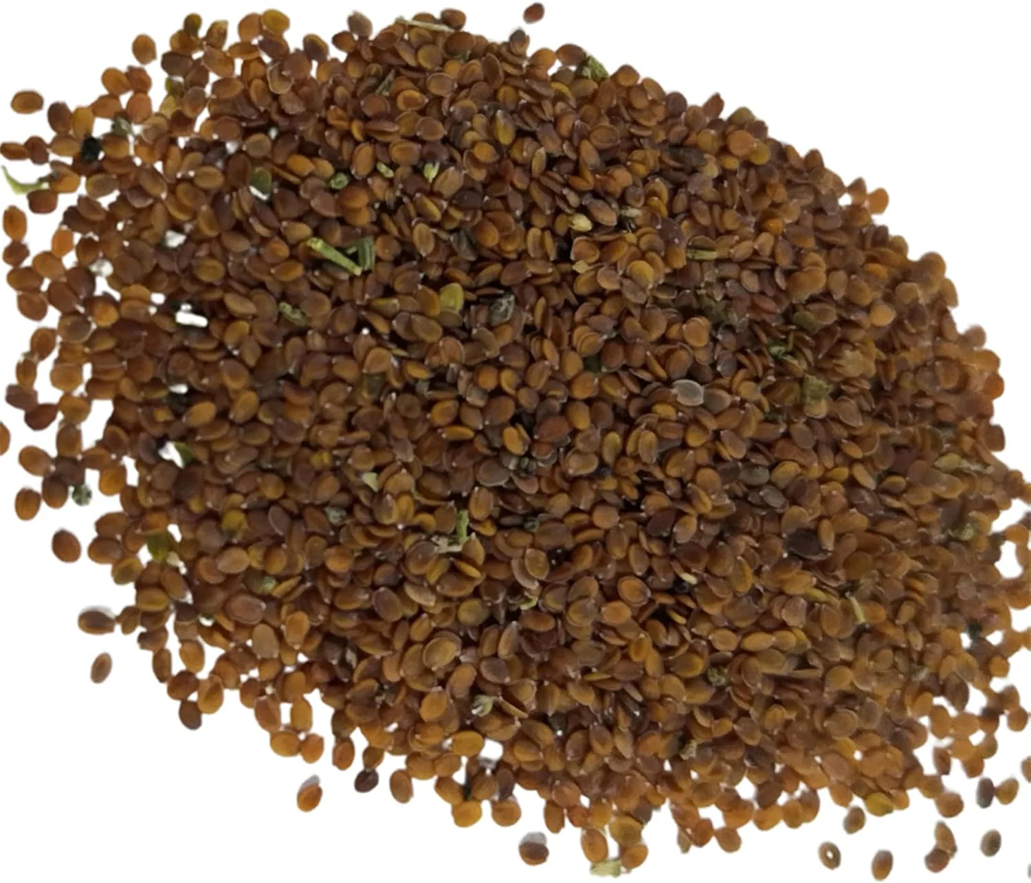 500 Pièces Graines De Cresson De Roche Vivace Couvre-sol Tapis Graines De Fleurs Graines De Plantes à Feuilles Persistantes Pour Jardin Pelouse Parc Décor Bleu – Image 8