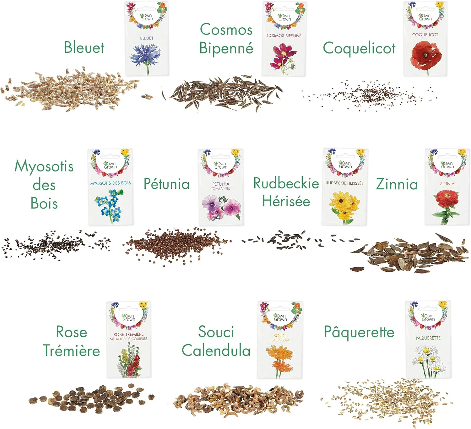 10 variétés de semences de fleurs et de fleurs comestibles – Image 3